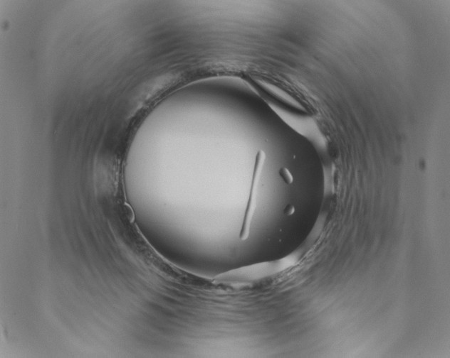 X0000088570168200706081107