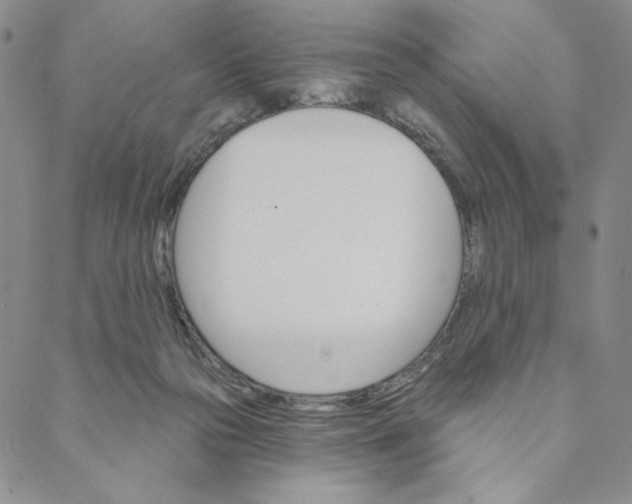 X0000088570169200706081107