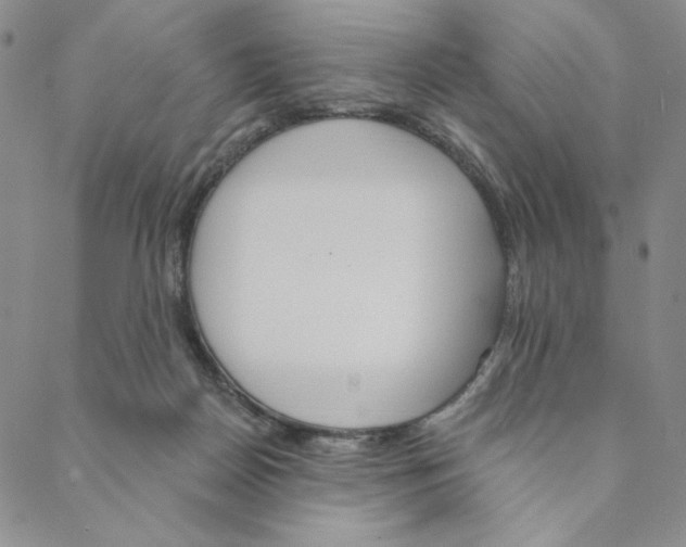 X0000088570170200706081107