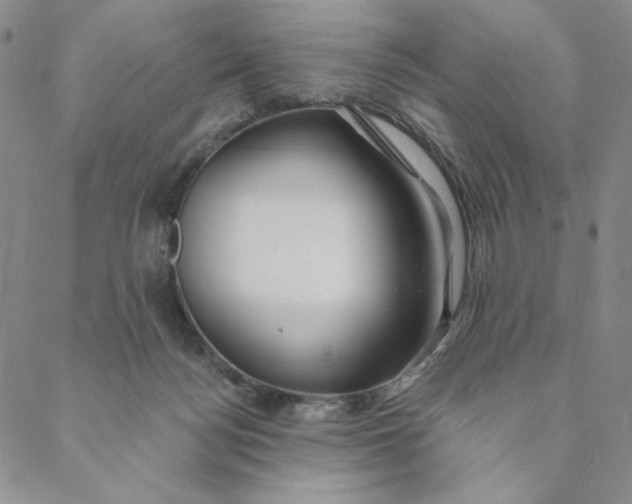 X0000088570172200706081107