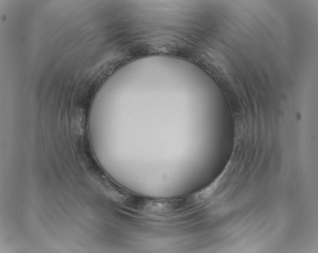 X0000088570174200706081107