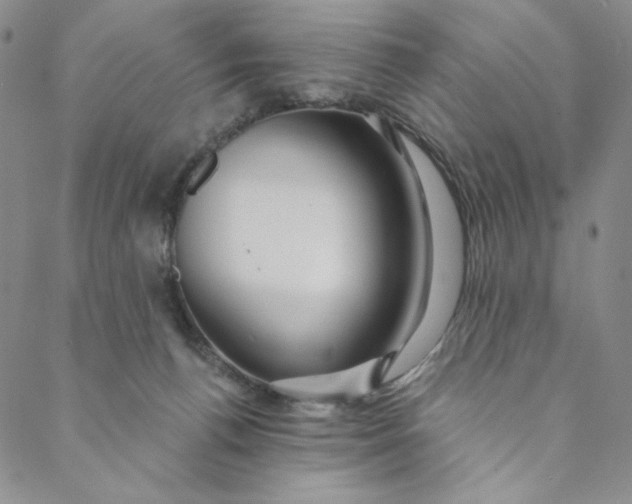 X0000088570176200706081107