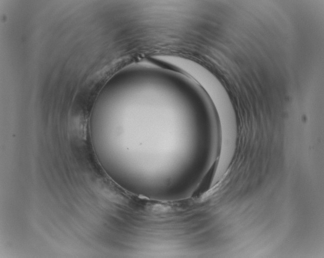 X0000088570180200706081107