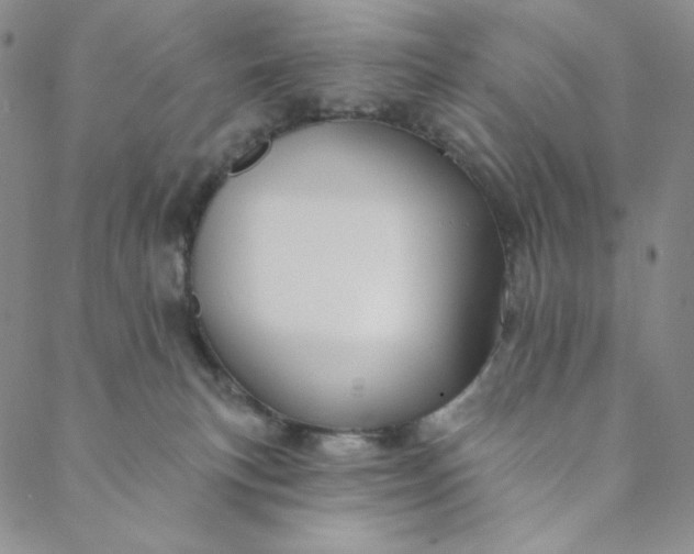X0000088570183200706081107