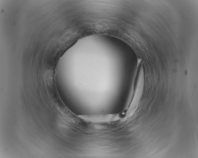 X0000088570184200706081107