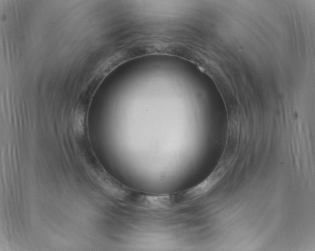 X0000088570188200706081107