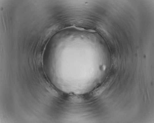 X0000088570189200706081107