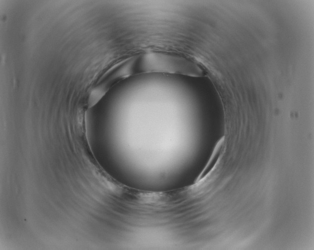 X0000088570192200706081107