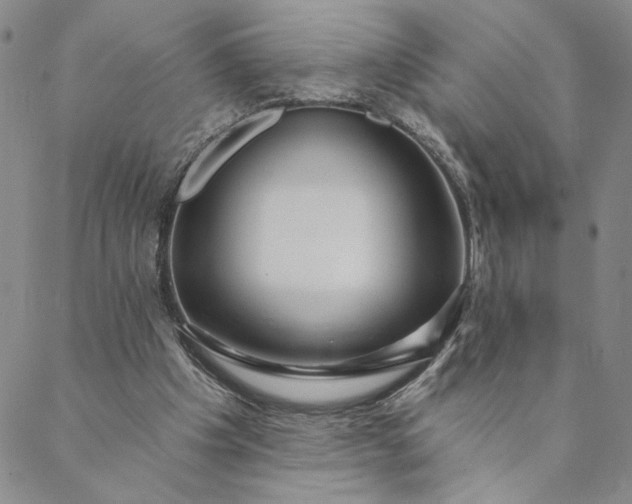X0000088570201200706081106
