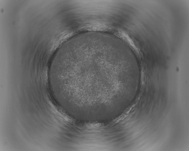 X0000088570202200706081106