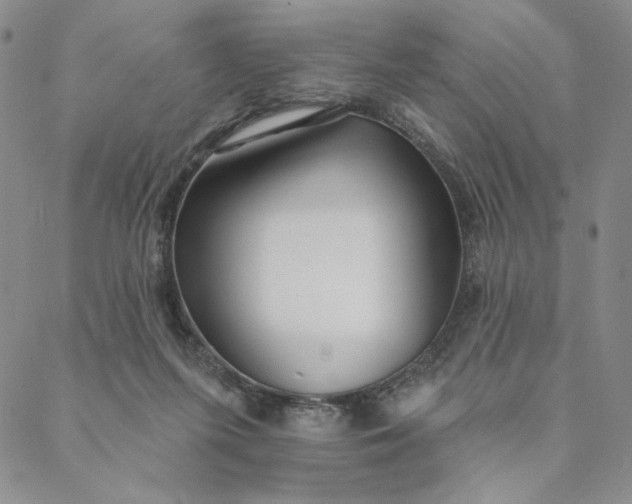 X0000088570215200706081106