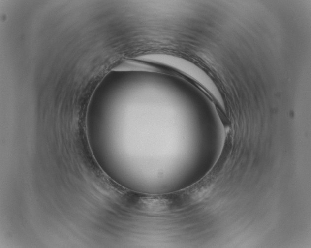 X0000088570221200706081106