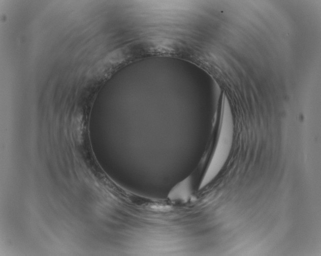 X0000088570223200706081106