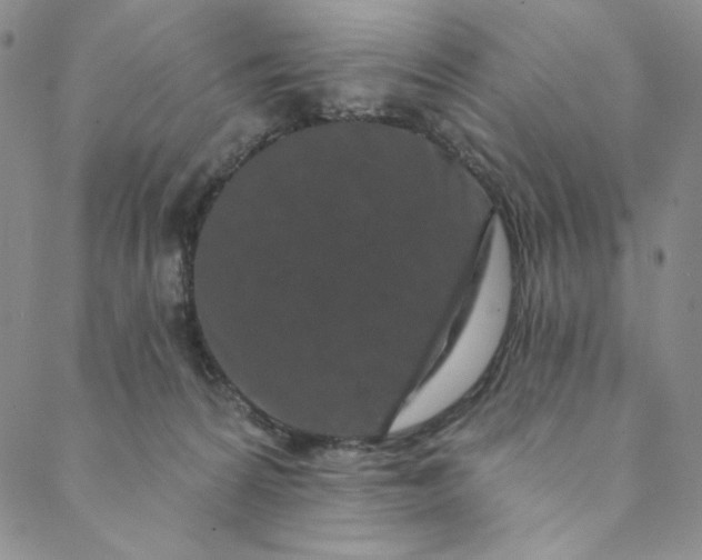 X0000088570224200706081106