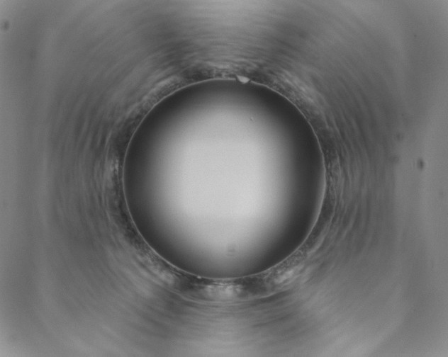 X0000088570225200706081106