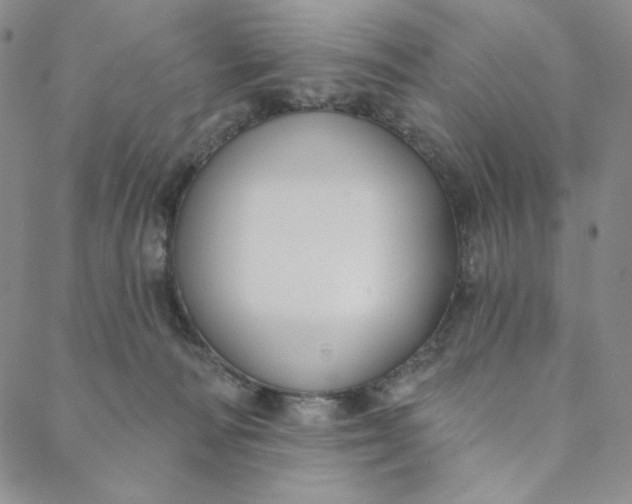 X0000088570226200706081106