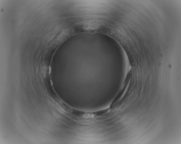 X0000088570227200706081106
