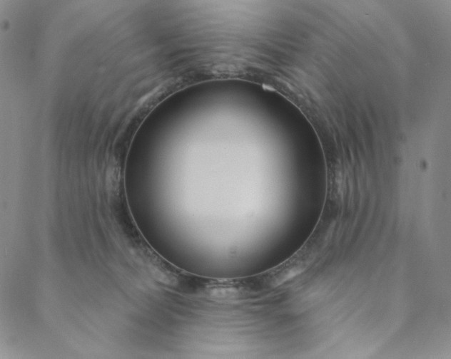 X0000088570228200706081106