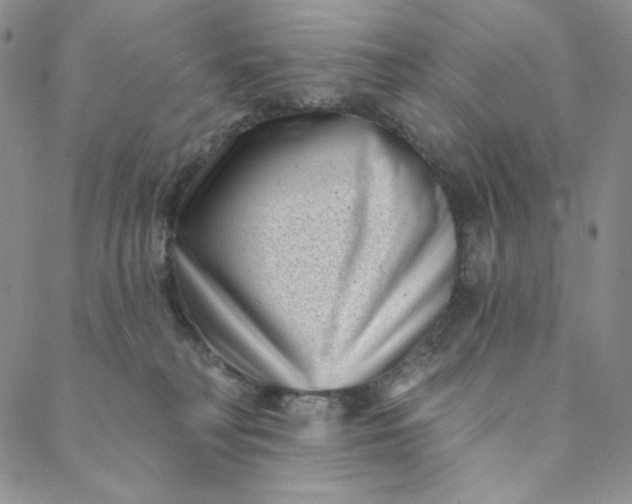 X0000088570230200706081106