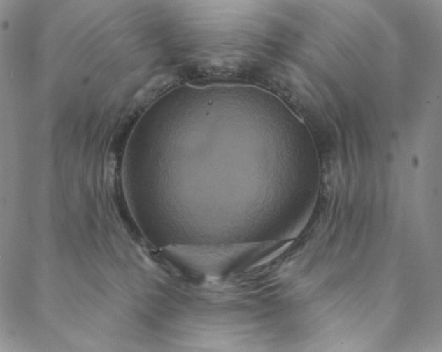 X0000088570231200706081106