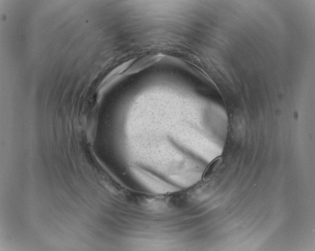 X0000088570232200706081106