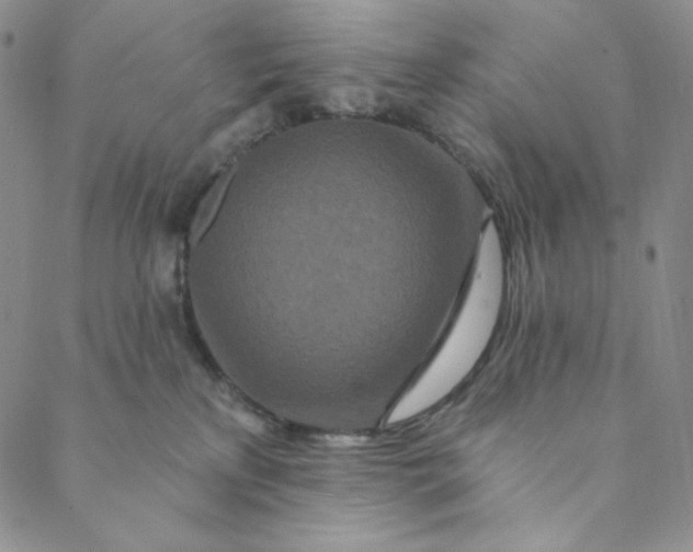 X0000088570233200706081106