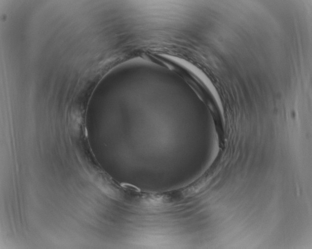 X0000088570235200706081106