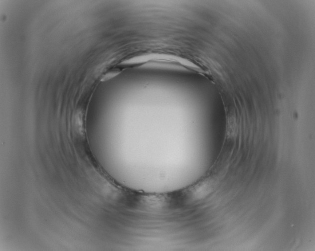X0000088570238200706081106