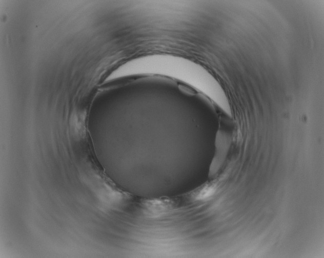 X0000088570239200706081105