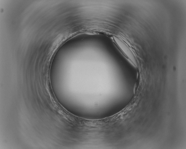 X0000088570241200706081105