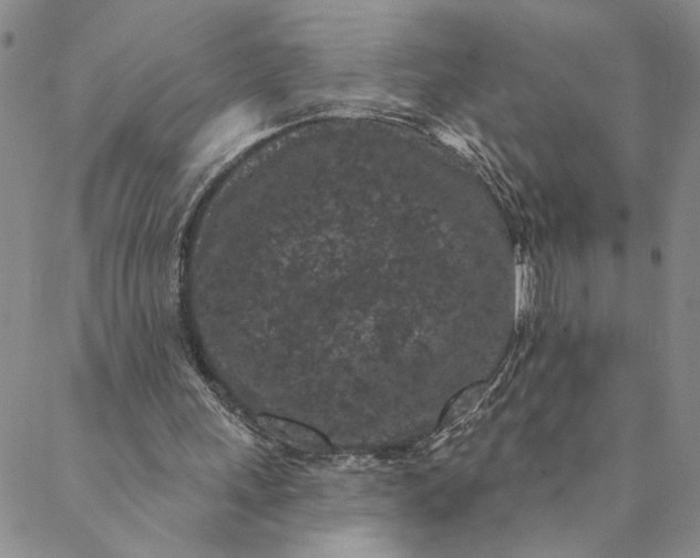 X0000088570243200706081105