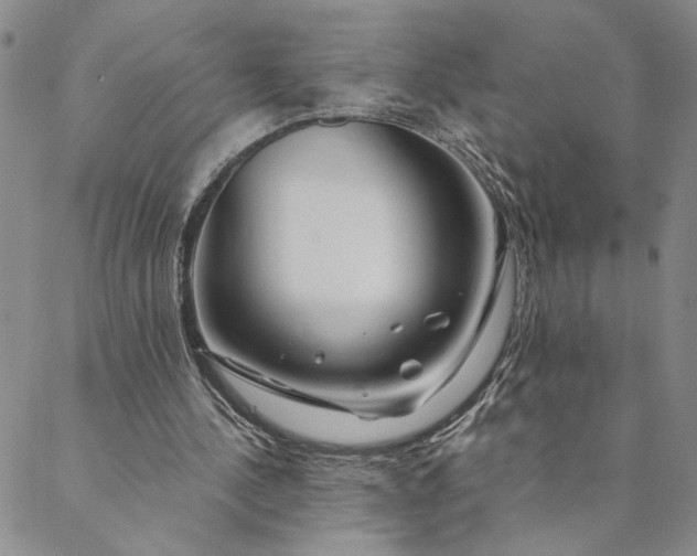 X0000088570244200706081105