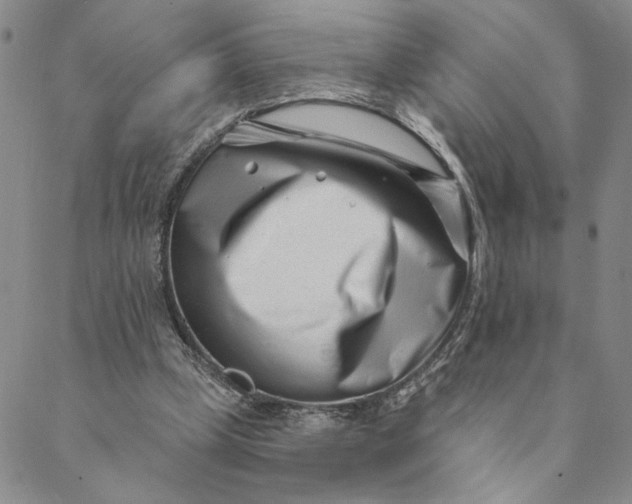 X0000088570249200706081105