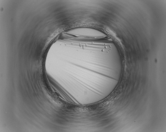 X0000088570250200706081105