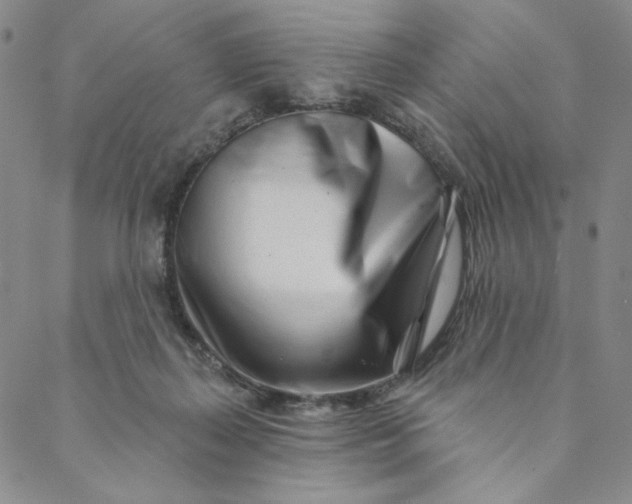 X0000088570267200706081105