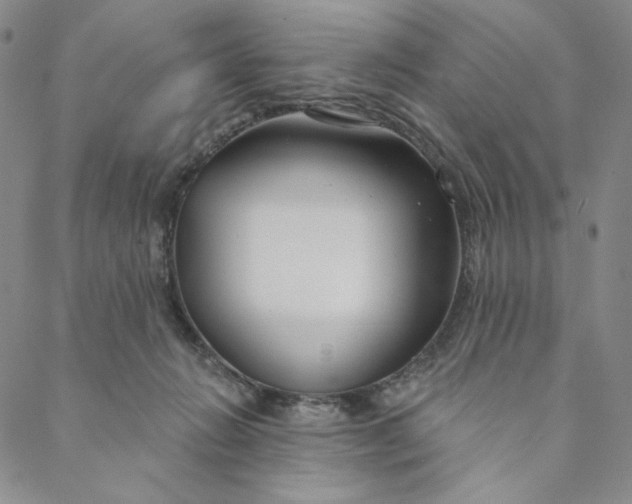 X0000088570270200706081105