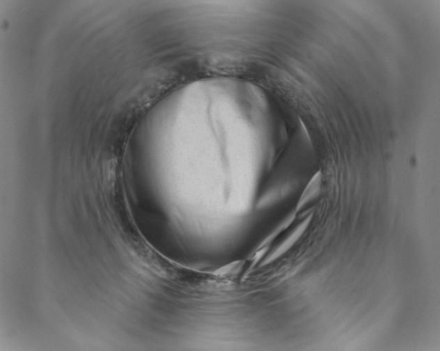 X0000088570271200706081105
