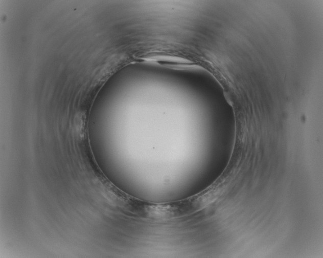 X0000088570273200706081105
