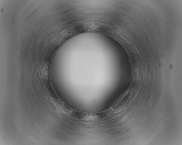 X0000088570274200706081105