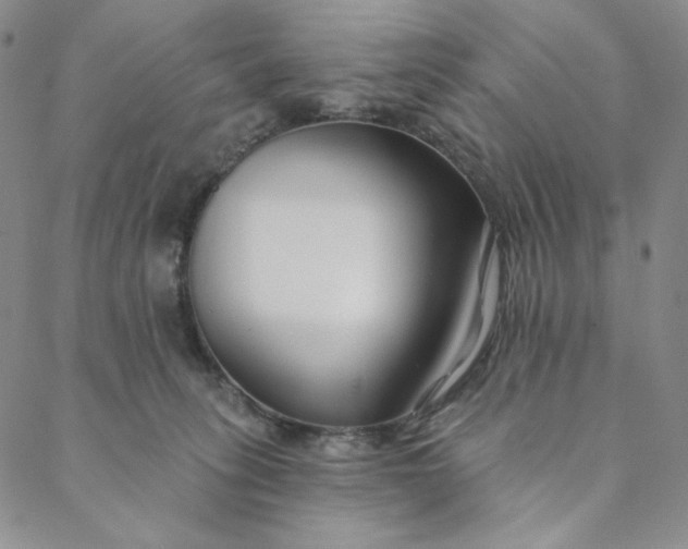 X0000088570275200706081105
