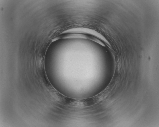 X0000088570276200706081105