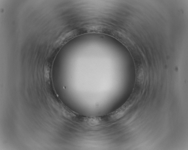 X0000088570282200706081105