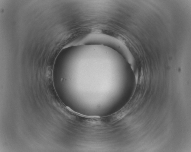 X0000088570284200706081105