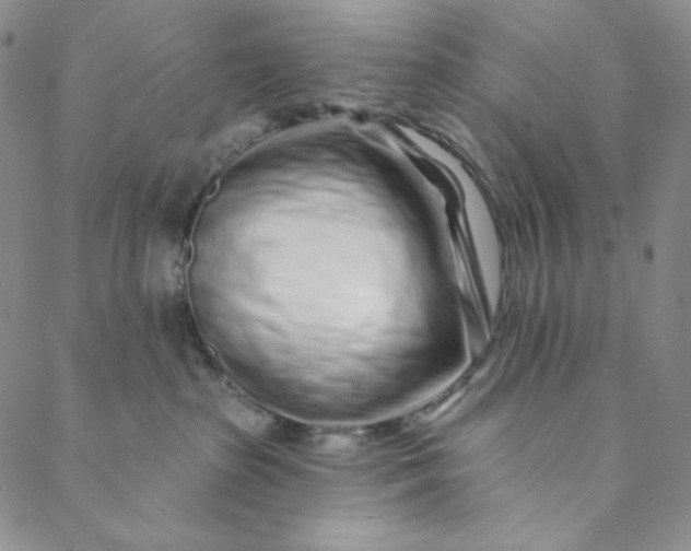 X0000088570285200706081105