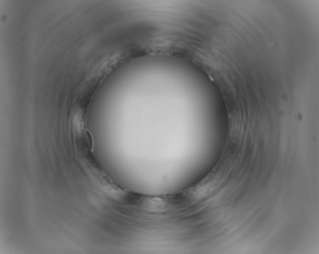 X0000088570287200706081105