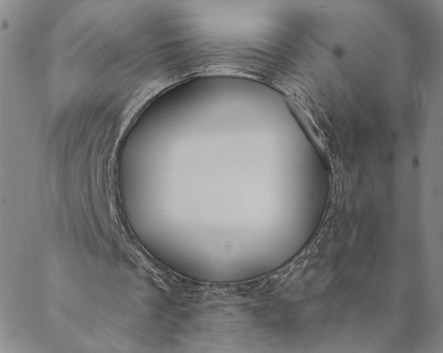 X0000088570289200706081105