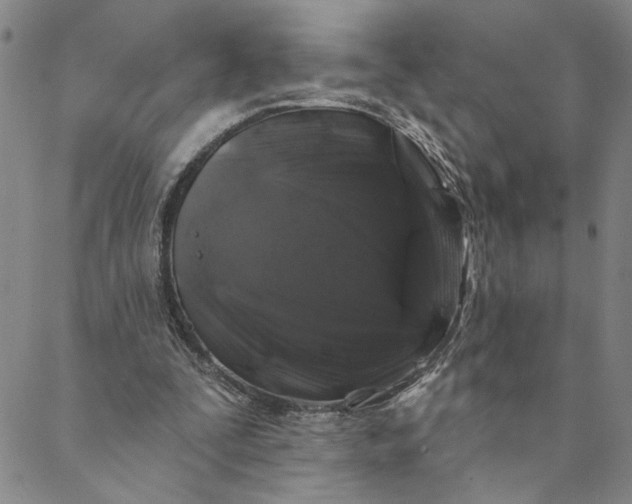 X0000088570295200706081105