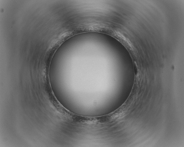 X0000088570306200706081104