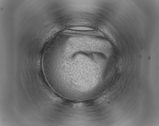 X0000088570309200706081104