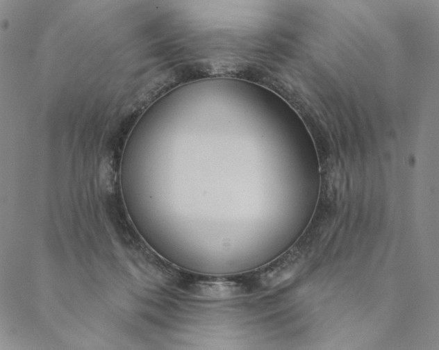 X0000088570316200706081104